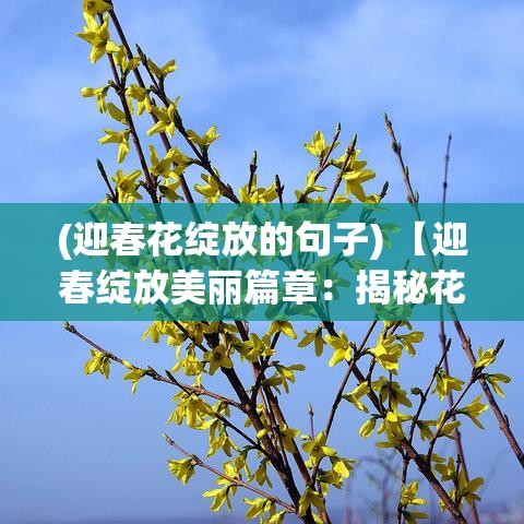 (迎春花绽放的句子) 【迎春绽放美丽篇章：揭秘花语月带来的浪漫与祝福】